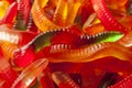 Colorful Fruity Gummy Worm Candy