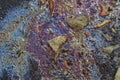 Colorful fuel and oil on an asphalt texture showing heavy enviromental pollution Royalty Free Stock Photo