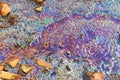 Colorful fuel and oil on an asphalt texture showing heavy enviromental pollution Royalty Free Stock Photo