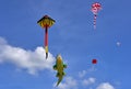 Colorful funny kites in the vivid blue