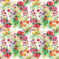 Colorful garden flowers Seamless pattern