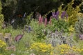 Colorful Garden With Iron Bird Sculpture