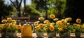 Colorful gardening tools and assorted flowerpots in a serene and sunny garden setting