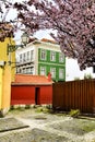 Colorful gardens and tiled facades of Lisbon