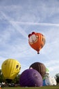 Colorful Garfield and other air balloons