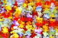 Colorful garlands Royalty Free Stock Photo