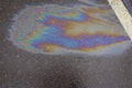 Colorful gas stain on wet asphalt. Oil stain caused by a leak under a car or truck. Royalty Free Stock Photo