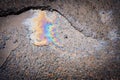 Colorful gas stain on wet asphalt. Oil stain caused by a leak under a car or truck. Royalty Free Stock Photo