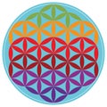 Sacred Geometry Flower of Life vector illustration Royalty Free Stock Photo