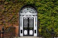 Colorful georgian doors in Dublin, Ireland. Historic doors in different colors painted as protest against English King Royalty Free Stock Photo