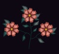 Colorful geranium flowers plant set embroidery in black background Royalty Free Stock Photo