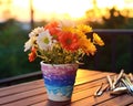 Colorful gerber flowers are in a ceramic flowerpot on a balcony. Royalty Free Stock Photo