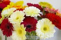Colorful gerberas in salon of flowers. Royalty Free Stock Photo