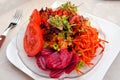 Colorful German summer salad with beets, carrots, lettuce, tomato, radish and herbs