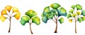 Colorful ginkgo tree evolution: seasonal transition in vibrant leaves Royalty Free Stock Photo