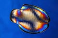 Colorful Glass Fish Royalty Free Stock Photo