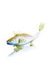 Colorful glass fish Royalty Free Stock Photo