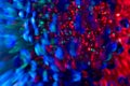 Colorful glitter lights background. Defocused bokeh. Lights texture. Blurred boke light background. Abstract bokeh Royalty Free Stock Photo