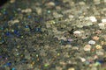 Sequin fabric detail Royalty Free Stock Photo