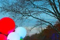 Colorful Globes and Tree Lights Brighten Winter Scene Royalty Free Stock Photo