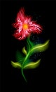 Colorful glowing red flower. Beautiful trendy ornamental floral fiery element over black. Modern illuminated ornaments with