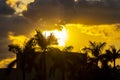 Colorful golden sunset sunrise tropical Caribbean palm trees clouds Mexico Royalty Free Stock Photo