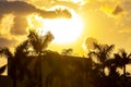 Colorful golden sunset sunrise tropical Caribbean palm trees clouds Mexico Royalty Free Stock Photo