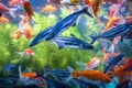 Colorful goldfish in freshwater aquarium