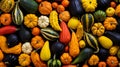 Colorful gourd collection, various shapes