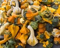 Colorful Gourds Royalty Free Stock Photo