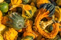 Colorful gourds on display at the market