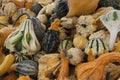 Colorful Gourds Royalty Free Stock Photo