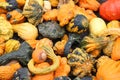 The colorful gourds at the market