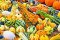 Colorful Gourds Royalty Free Stock Photo