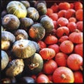 Colorful gourds