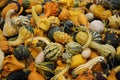 Colorful Gourds Royalty Free Stock Photo
