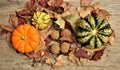 Colorful Gourds, Sycamore Seed Balls and Autumn Leaves Fall Still Life Royalty Free Stock Photo