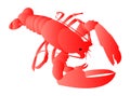 Red lobster cartoon illustration