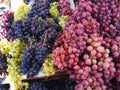 Colorful grapes on the market in Medina of Tetuan, Marocco Royalty Free Stock Photo