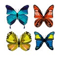 Colorful graphic insects set with different kinds of butterflies on white