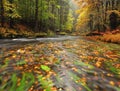 Colorful gravel on bank at autumn mountain river. Bended branches with last leaves above water Royalty Free Stock Photo