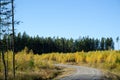 Colorful gravel road curve Royalty Free Stock Photo