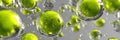Colorful Green Bubbles in a Scientific Setting Showcasing Details of Cellular Structures With a Blurred Background and Royalty Free Stock Photo
