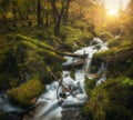 Colorful green forest with waterfall at mountain river at sunset