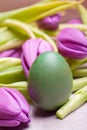 Colorful green pastel easter egg Royalty Free Stock Photo