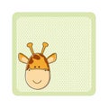colorful greeting card with picture giraffe animal