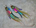 Colorful grizzly feathers earrings Royalty Free Stock Photo