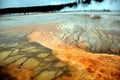 Colorful ground near grand prismatic spring