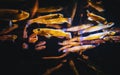 Colorful group of fish swimming underwater and reflecting on the water surface.