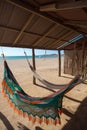 Colorful hammocks on a beautiful deserted bach Royalty Free Stock Photo